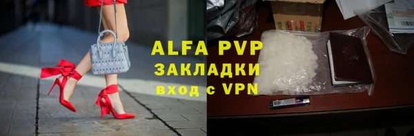 индика Балахна