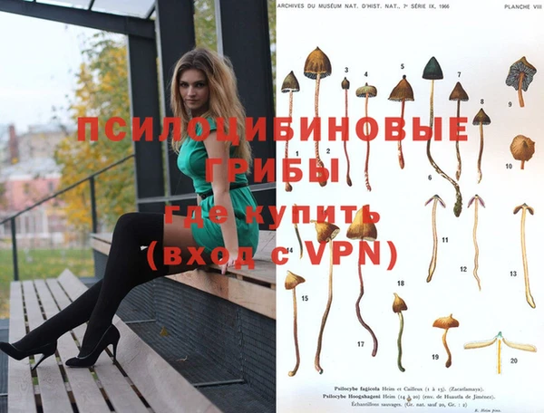ПСИЛОЦИБИНОВЫЕ ГРИБЫ Балабаново