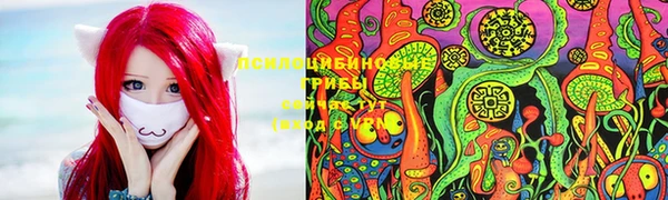 соль ск Нефтегорск