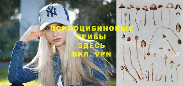 мдма Новодвинск